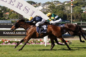 Rose Of Virginia Stayers' Cup